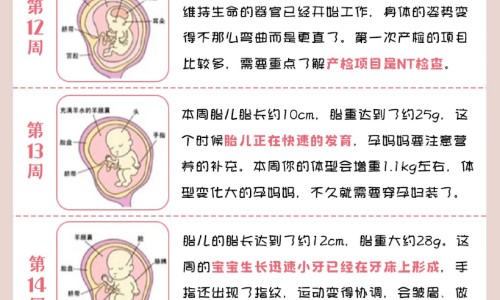 感染尖锐疣有什么症状网 - 为你提供感染尖锐湿疣有什么症状、感染尖锐多久开始长疣体